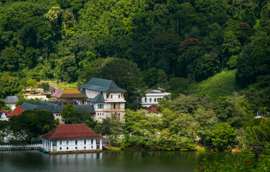 Taste of Ceylon